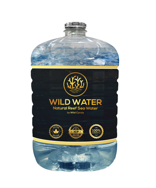 WILD WATER 20L