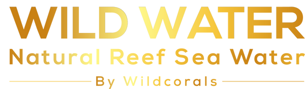 WildWater